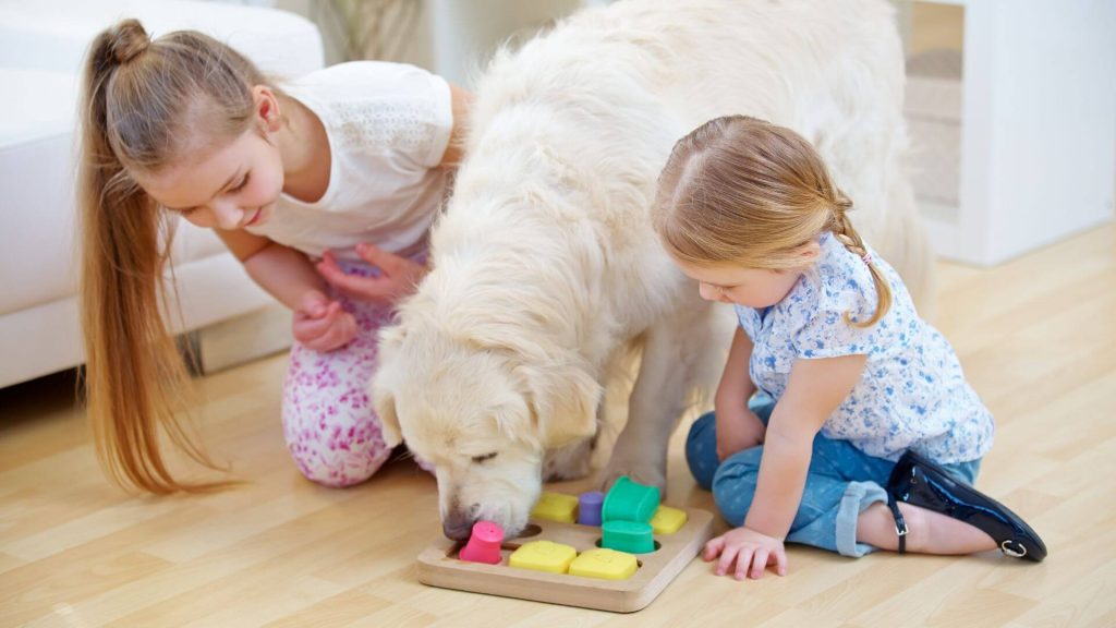 Pies bawiący się z dziećmi